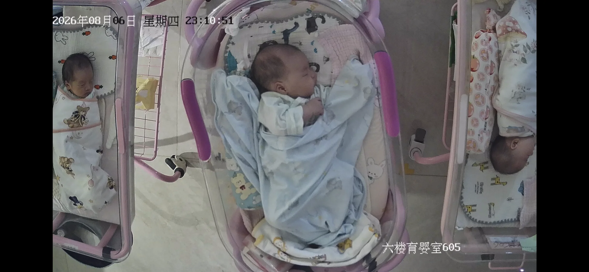 巨无霸